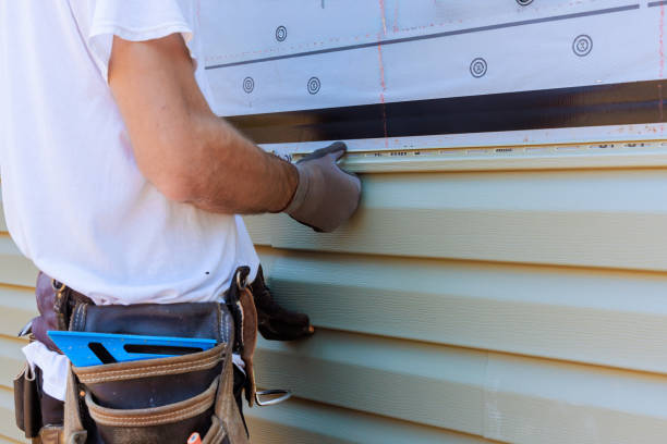 Best Steel Siding Installation  in USA